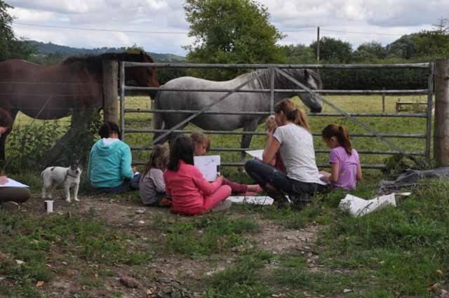 Mid Wales Arts B&B Caersws ภายนอก รูปภาพ