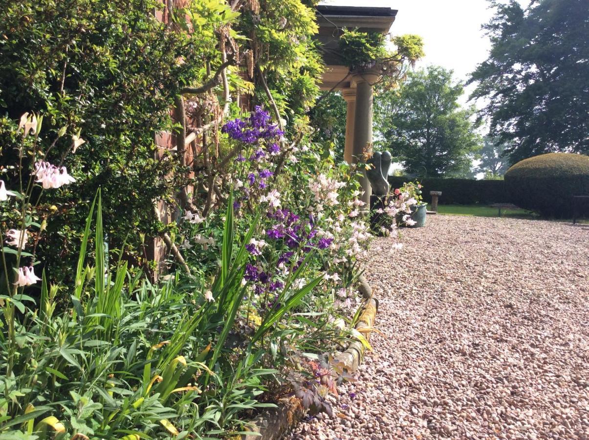 Mid Wales Arts B&B Caersws ภายนอก รูปภาพ