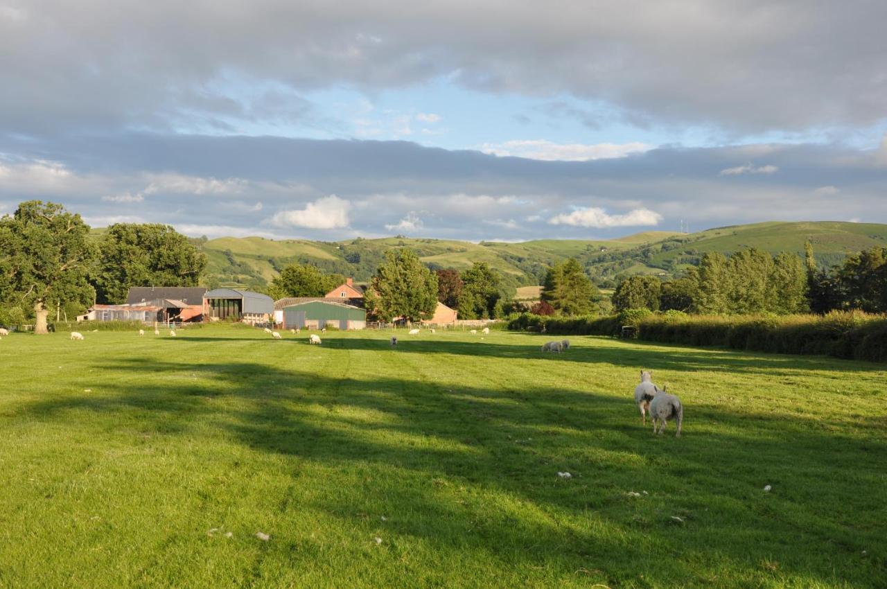 Mid Wales Arts B&B Caersws ภายนอก รูปภาพ